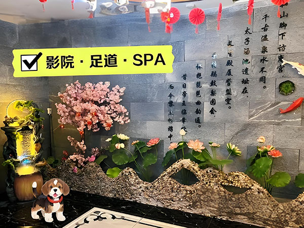 苏州按摩的地方在哪里啊,苏州按摩养生好去处盘点-图1